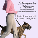 Foundation-Marathon-Spenden-cujic